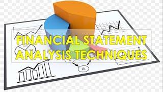 Quantitative Analysis: Financial Statement Analysis Techniques