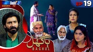 Baghul - Episode 19 | Sindh TV Drama Serial | SindhTVHD Drama