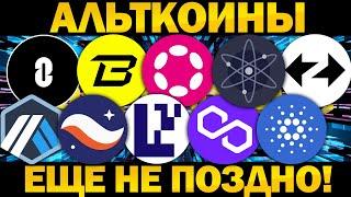 Лучшие Альткоины для покупки прямо сейчас! ARB EIGEN POL STRK ADA ATOM DOT BLAST ZK ZRO