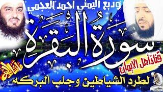 سورة البقرة كاملة مكررة لطرد الشياطين والجن وجلب الرزق الشيخ أحمد العجمي وديع اليمني  surat albaqara