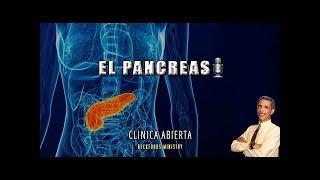 El Pancreas | Dr Elmo Rodríguez | Clínica Abierta