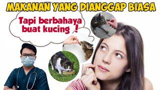 MAKANAN YANG DIANGGAP BIASA TAPI BERBAHAYA UNTUK KUCING || drh Mirza Yusa || Dokter Hewan