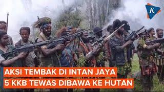 5 KKB Tewas dalam Aksi Baku Tembak di Intan Jaya Papua