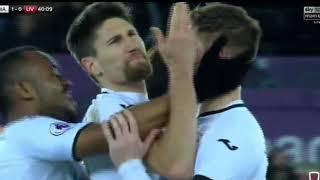 CELEBRATIONS CAN BE DANGEROUS : Swansea's Federico Fernandez gets bloody nose