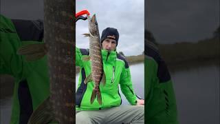 Часть 2. В поисках за крупной щукой #врек #fishing #spining #spin #рыбалка #rec #shorts #спининг