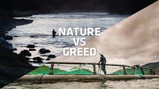 Nature vs Greed – Take Action for Wild Salmon!