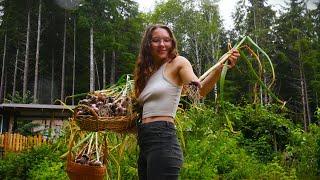 Harvesting Garlic‍| Real Italian Aglio e Olio & Carrot Top Pesto