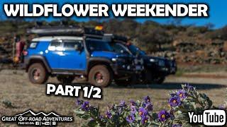Epic 4WD Weekend Getaway Camping Trip in WA, Chasing Wildflowers Pt1/2