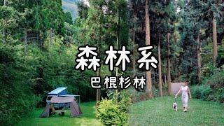 草地雨棚任你選的森林系｜COTD超完美烤盤｜巴棍杉林露營區｜Chirin let's go!