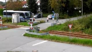 Wald Bahn - Bayerische Wald National Park