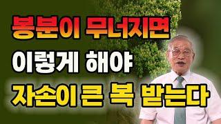 봉분이 무너지면 이렇게 해야 자손이 큰 복을 받는다 [E.389] #풍수 #산소 #복