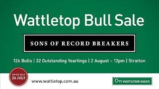 Wattletop 2017 Bull Sale Preview