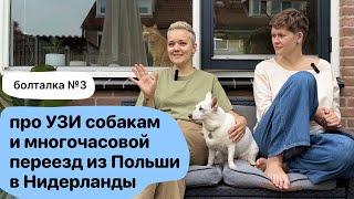 Про переезд с собаками на машине, обустройство нового дома и сложности с УЗИ для собак. Болталка №3