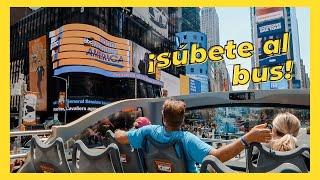 THE TOURIST BUS IN NEW YORK  City Tour