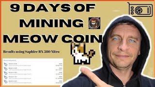 9 days mining MEOW COIN #meowcoin #crypto #cryptomarketupdates