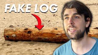 Driftwood Expert Explains How to Identify Driftwood