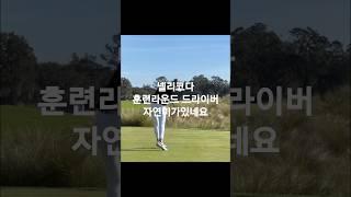 평소훈련에서는 자연스러운 모습 넬리코다 드라이버스윙.