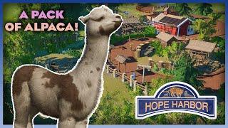 A Lot of Alpacas!! - Hope Harbor Zoo