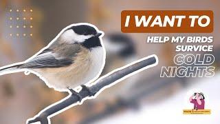 I Want To Help My Backyard Birds Survive Cold Nights