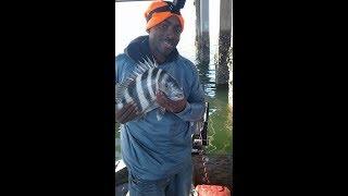 Woody and Friends Battle It Out In a Triple Threat Sheepshead Fishing Contest