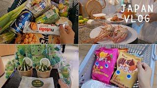 Going to supermarket for shopping & making simple home-cooked meals l Korean daily life Vlog