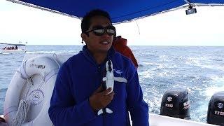 Whale Watching Cabo San Lucas - Meet our guide Oscar!