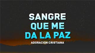 Sangre Que Me Da La Paz  Musica Cristiana de Adoracion - Alabanzas Cristianas - Himnos y Coros 2024