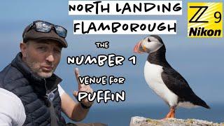 Flamborough Head - Perfect for Puffins