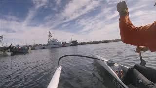 Monterey Harbor Tour