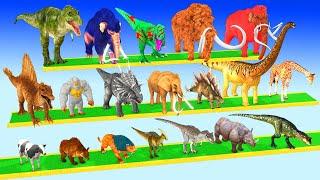 Animals vs Dinosaurs vs Brachiosaurus Speed Race Zigzag Down Course! Super Animal Battle