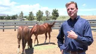 PART II - History of Rafter Eleven Ranch and Prescott Valley - "Dan" Fain, presented by Ron Fain.