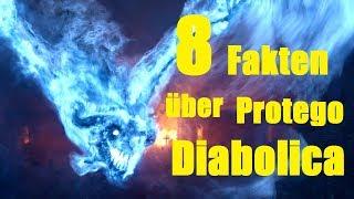 8 FAKTEN über PROTEGO DIABOLICA 