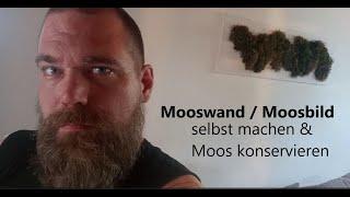 Moosbild / Mooswand selbst machen & Moos konservieren