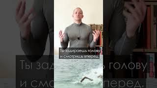 БОЛИТ ШЕЯ И ПОЯСНИЦА ПРИ ПЛАВАНИИ КРОЛЕМ. ПОЧЕМУ?