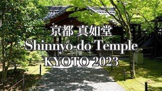 Fresh green of Shinnyodo in Kyoto 2023