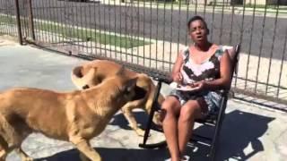 Auntie Fee Out Side With the Dogs