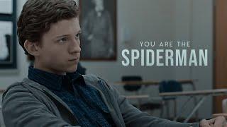 (Marvel) Peter Parker | You're the Spider-Man