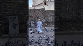 Hijabi girl visit madina #madina #love#cute #beautiful #love #nature#cute #women#girl #madina#birds