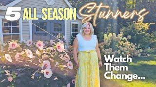 Transform Your Garden with these 5 Shrubs/Plants! Easy-Care & Gorgeous All Season Long!
