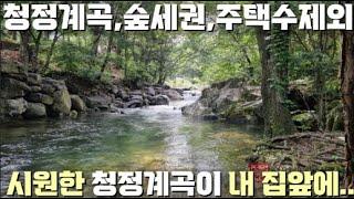 [전속]시원한 청정계곡이 내 집앞에.. 3억대 주택수 제외되는 계곡접한 한옥주택/양평근생주택/3억대전원주택/양평 전원주택/양평 전원주택 급매/양평 부동산/ 매물번호 : 17093