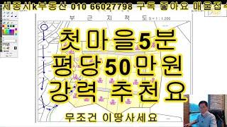 첫마을5분 평당50만원 세종시금암리토지 강력추천