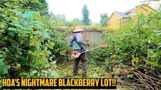 INNOCENT Neighbors Yard INFESTED with HOA's Blackberries! Brush Clearing Stihl FS-240 #stihl #lawn