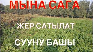 Сиздер куткон СУУНУ БАШЫНАН ЖЕР САТЫЛАТ БААСЫ АРЗАН СРОЧНО #мигранттар #тезкабар #базаркабар