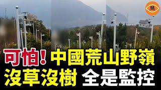 中國野地荒山上的監視器電線桿比草木還密集 不種樹種監控