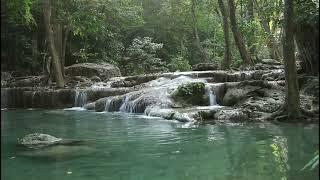 1 HOUR relaxing video with nature. A HOUR with nature Flowing River