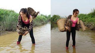 Happy day,Preparing bait for crab traps in the stream-Cooking crab soup at the farm-Ngân Daily Life