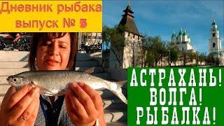 Астрахань! Волга! Рыбалка! Дневник начинающего рыбака, выпуск №5 (english subtitles)