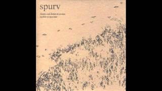 Spurv - Gamle årringer