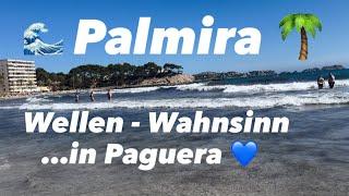 Paguera  Palmira  Wahnsinn  hohe Wellen  Spaß & pure Freude am Strand  27 ° ️