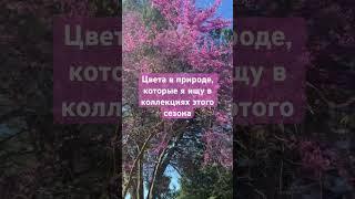 Байер из США. Пиши в комментах и присоединяйся к покупкам!